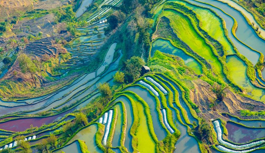宝妈必备神器：延边产品视频拍摄轻松育儿好帮手