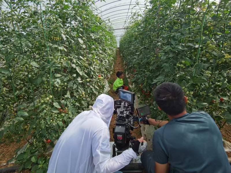 延边产品宣传视频拍摄公司进阶指南，助力品牌抢占传播高地